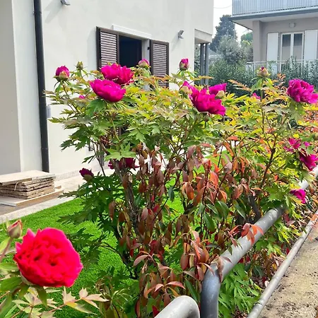 Ai Fiori Gasthuis Peschiera del Garda